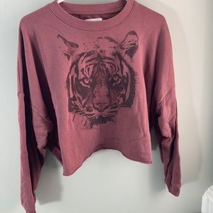American eagle cropped pull over